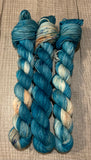 “Meeting a Monster” 50 Gram Fingering Hand Dyed Yarn
