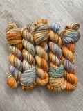 “Sunday Morning” Zebra Fingering Hand Dyed Yarn