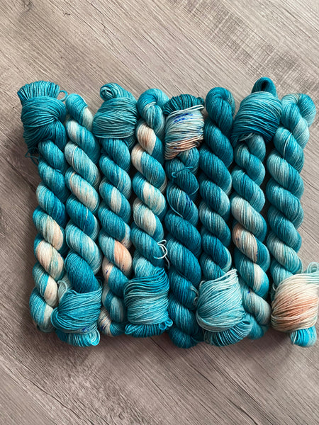 Meeting a Monster 50 Gram Fingering Hand Dyed Yarn