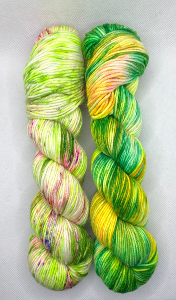 “Fresh” DK 2 Skein Matching Set