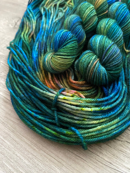 “Autumn Rainbow” Wholesale Hand Dyed Yarn